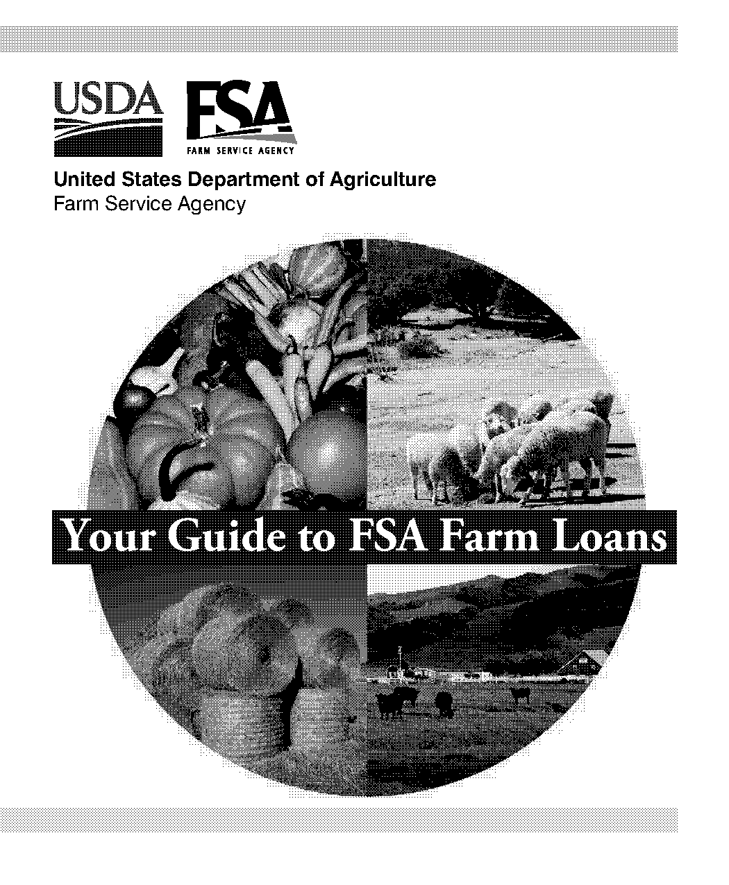 farm marketing solutions pdf