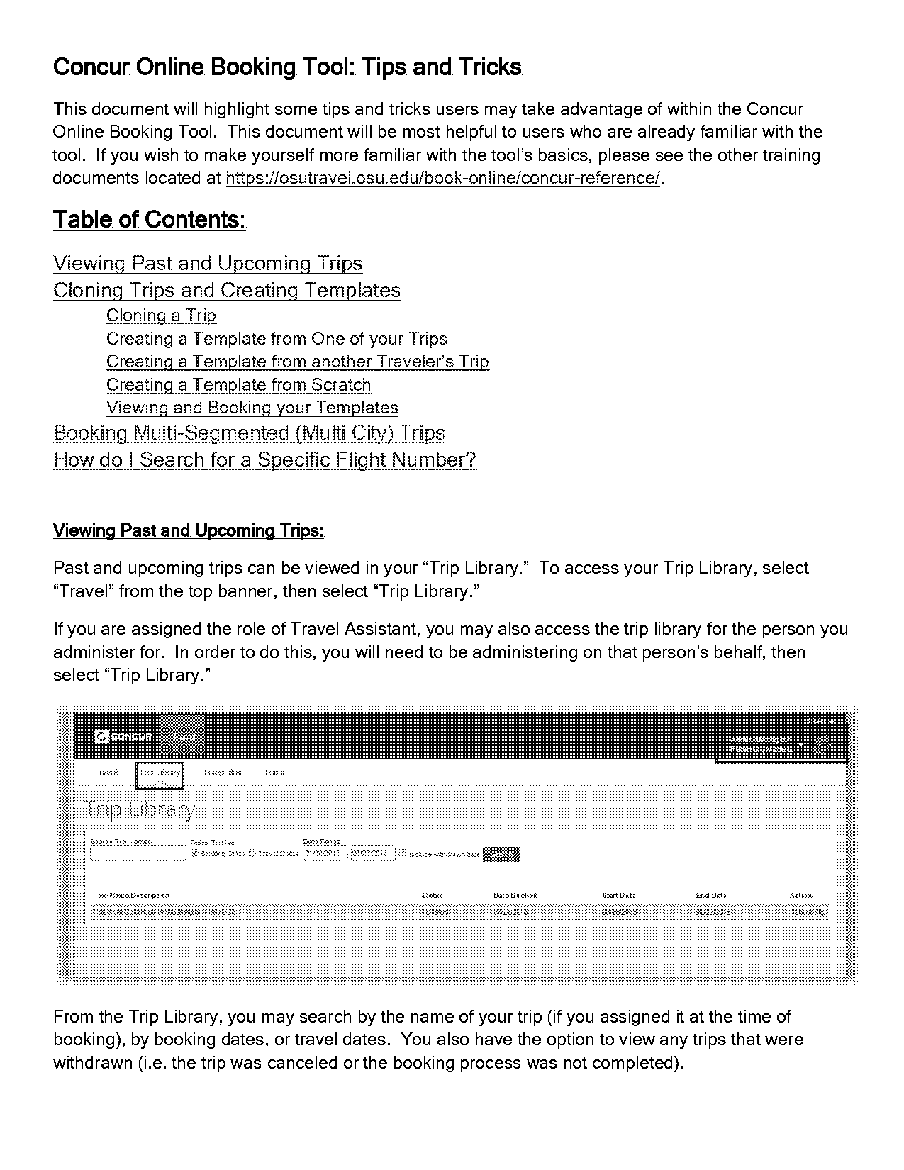 flight ticket itinerary template