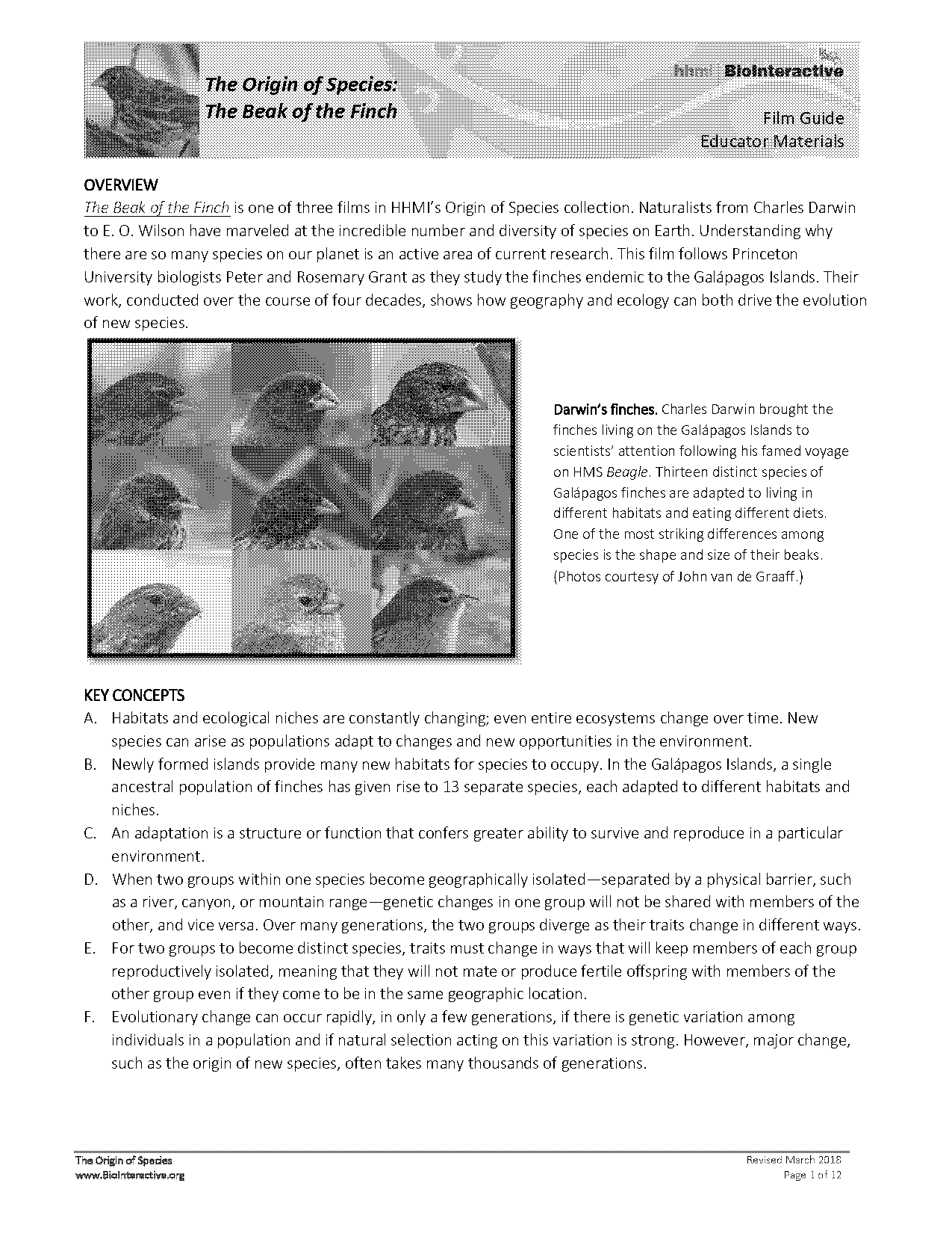 anticipation guide origins of species answers