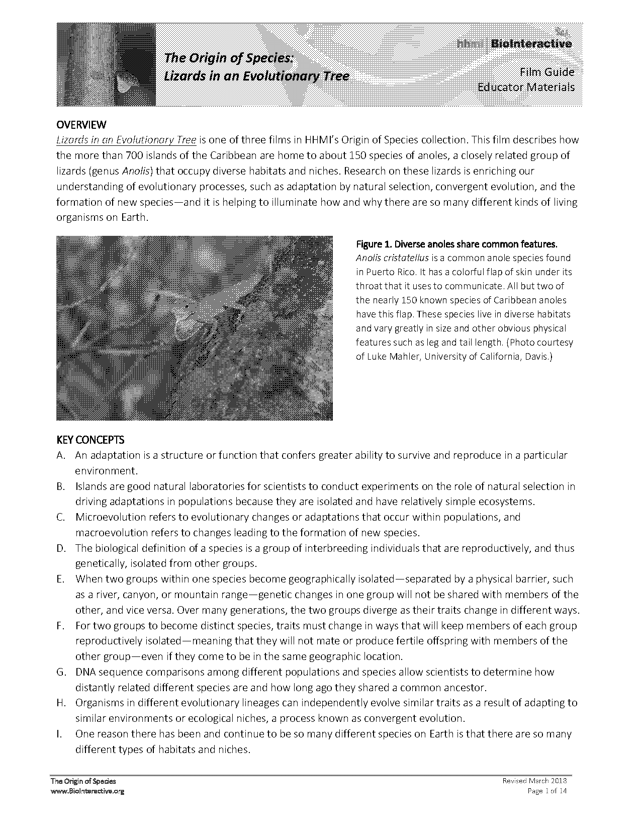 anticipation guide origins of species answers