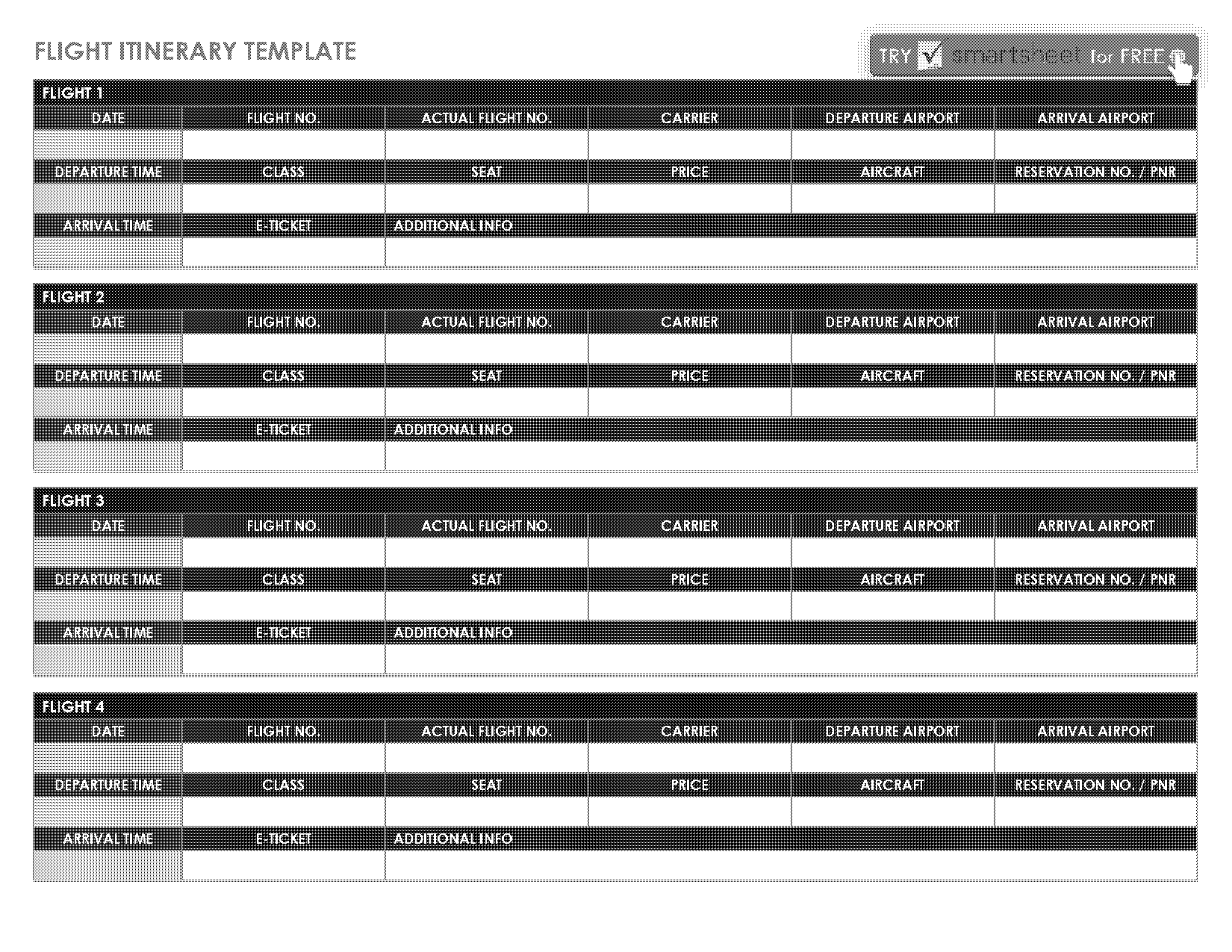 flight ticket itinerary template