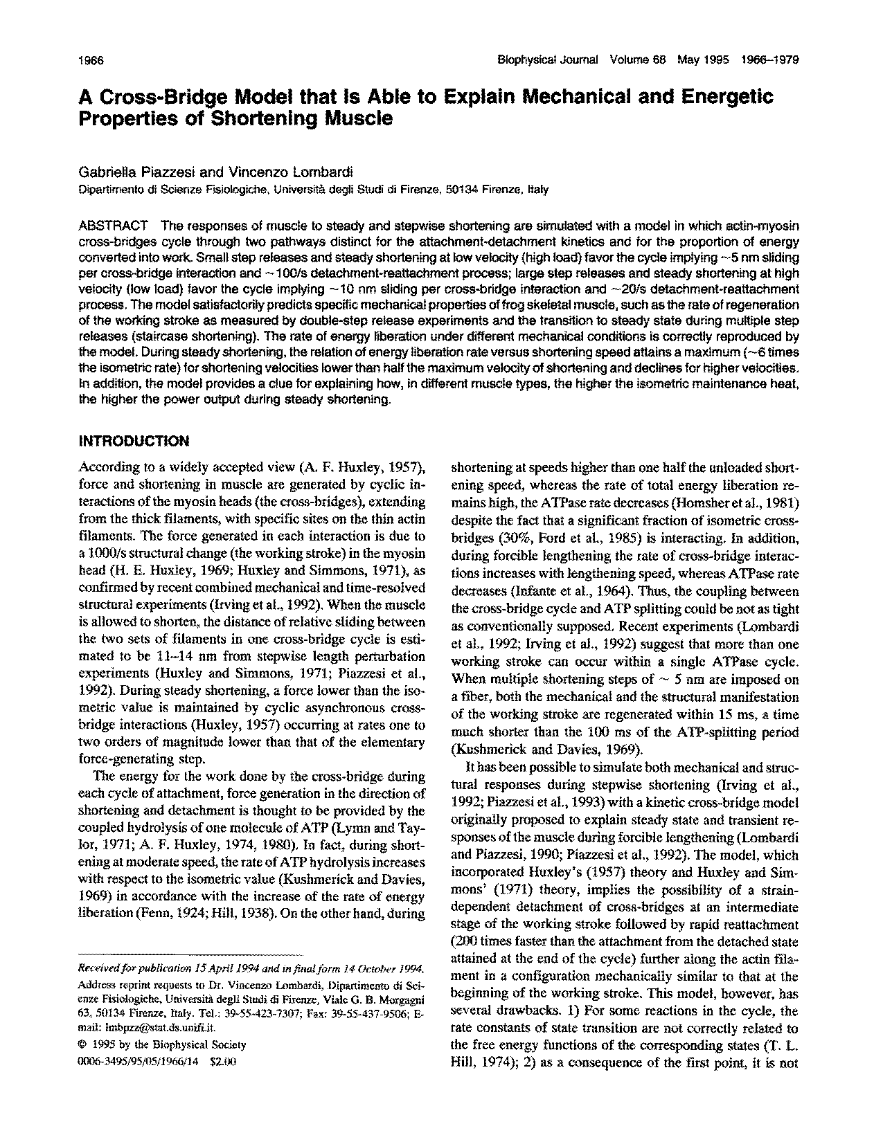 power stroke muscle contraction